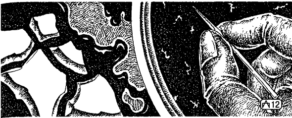 Иллюстрация к книге — Дело врача [i_005.png]