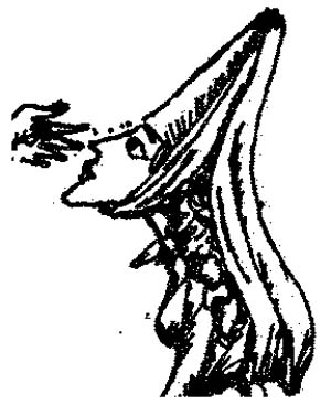 Иллюстрация к книге — Когда-то, давным-давно... [i_006.jpg]