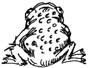 Иллюстрация к книге — Когда-то, давным-давно... [i_010.jpg]