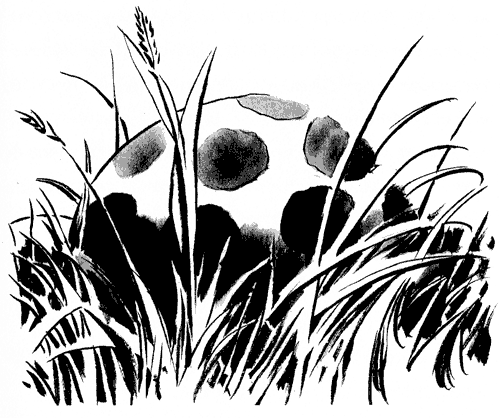 Иллюстрация к книге — Легенды. Звери и монстры [i_006.png]