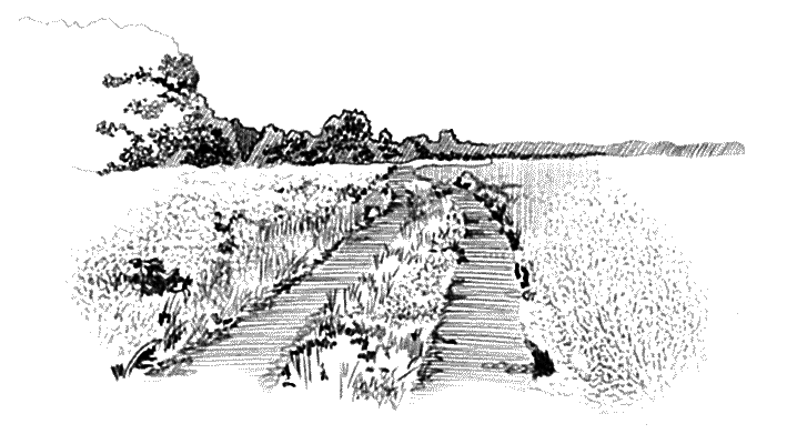 Иллюстрация к книге — Утерянный рай [7.png]