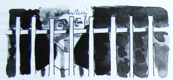 Иллюстрация к книге — Грибной дождь для героя [_004.jpg]