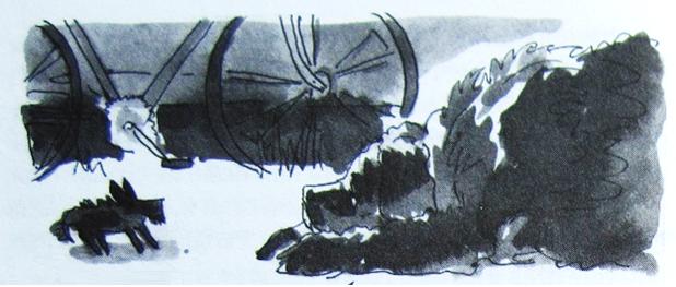 Иллюстрация к книге — Грибной дождь для героя [_006.jpg]