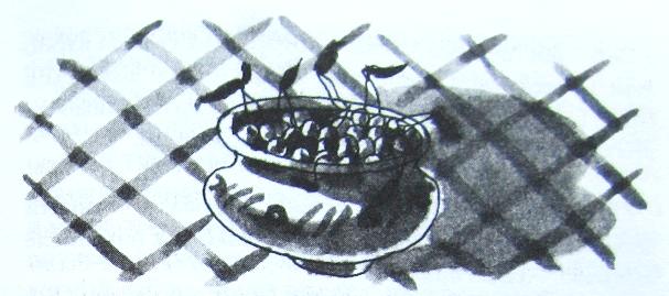 Иллюстрация к книге — Грибной дождь для героя [_018.jpg]