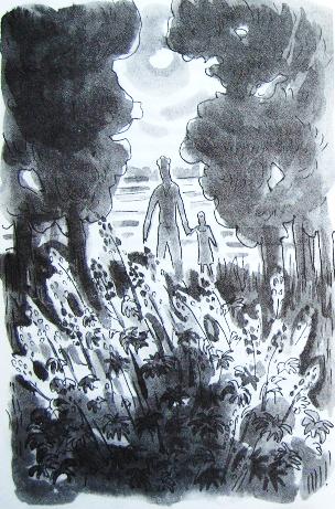 Иллюстрация к книге — Грибной дождь для героя [_022.jpg]