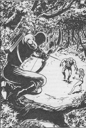 Иллюстрация к книге — Неистовые джокеры [pic05.jpg]