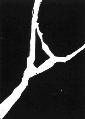 Иллюстрация к книге — Кома [i_034.jpg]