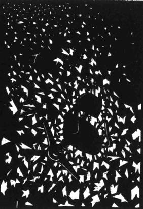 Иллюстрация к книге — Кома [i_042.jpg]