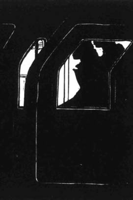 Иллюстрация к книге — Кома [i_043.jpg]