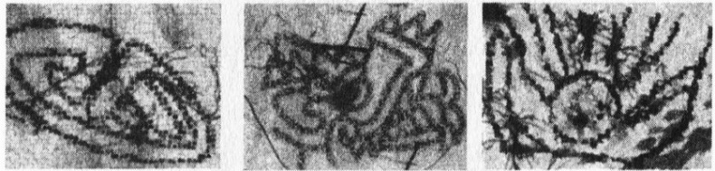 Иллюстрация к книге — Потерянная империя [pic233.jpg]