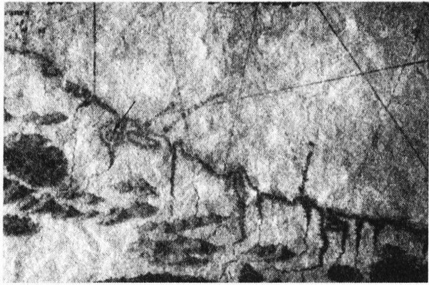 Иллюстрация к книге — Потерянная империя [pic242.jpg]