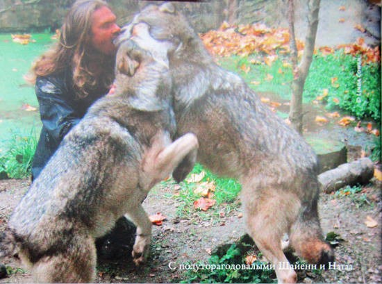 Иллюстрация к книге — Свой среди волков [IMG_8448a.jpg]