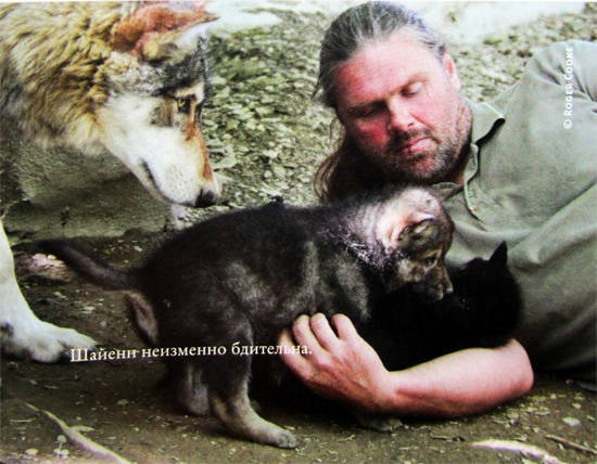 Иллюстрация к книге — Свой среди волков [IMG_8451b.jpg]