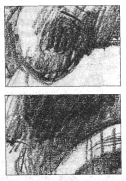 Иллюстрация к книге — Анатомия страха [pic_12.png]