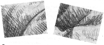 Иллюстрация к книге — Анатомия страха [pic_21.png]