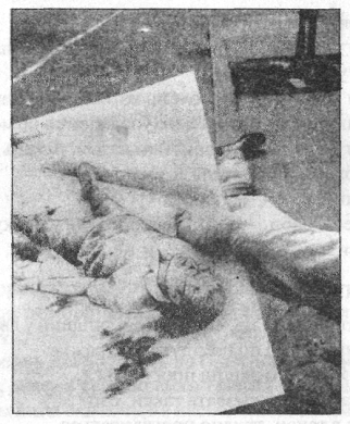 Иллюстрация к книге — Анатомия страха [pic_29.png]