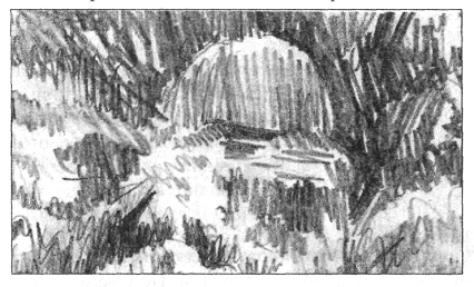 Иллюстрация к книге — Анатомия страха [pic_73.png]