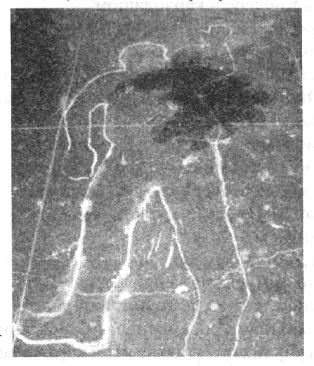 Иллюстрация к книге — Анатомия страха [pic_77.png]