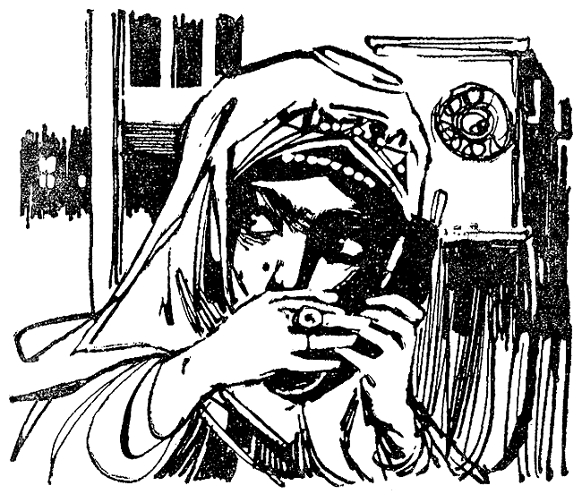 Иллюстрация к книге — Прерванный прыжок [i_018.png]