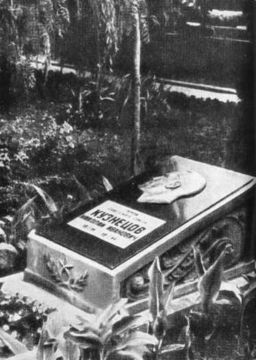 Иллюстрация к книге — Николай Кузнецов [i_039.jpg]