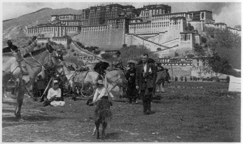 Иллюстрация к книге — Калейдоскоп жизни [i_022.jpg]