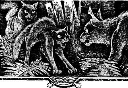 Иллюстрация к книге — Судьба Небесного племени. Решение [i_008.png]