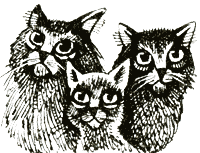 Иллюстрация к книге — Судьба Небесного племени. Решение [i_013.png]