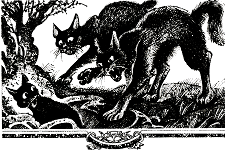 Иллюстрация к книге — Судьба Небесного племени. Решение [i_016.png]