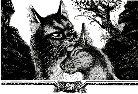 Иллюстрация к книге — Судьба Небесного племени. Решение [i_017.png]