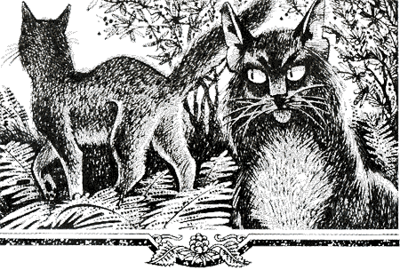 Иллюстрация к книге — Судьба Небесного племени. Решение [i_020.png]