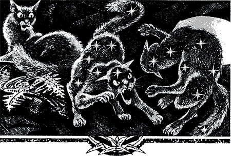 Иллюстрация к книге — Судьба Небесного племени. Решение [i_032.png]