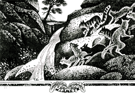 Иллюстрация к книге — Судьба Небесного племени. Решение [i_033.png]