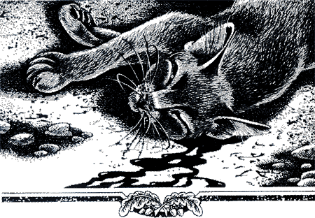 Иллюстрация к книге — Судьба Небесного племени. Решение [i_037.png]