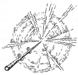 Иллюстрация к книге — Ловушка для волшебников [glava111.jpg]