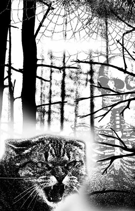 Иллюстрация к книге — Еще жива [i_004.jpg]