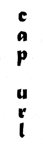 Иллюстрация к книге — Продавец проклятых книг [i_014.png]