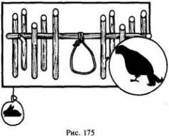 Иллюстрация к книге — Школа выживания в природных условиях [pic_169.jpg]