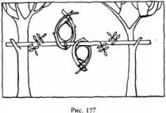 Иллюстрация к книге — Школа выживания в природных условиях [pic_171.jpg]