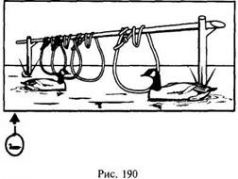 Иллюстрация к книге — Школа выживания в природных условиях [pic_182.jpg]