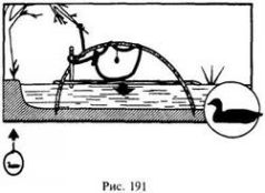 Иллюстрация к книге — Школа выживания в природных условиях [pic_183.jpg]