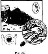 Иллюстрация к книге — Школа выживания в природных условиях [pic_200.jpg]