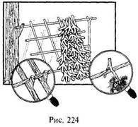 Иллюстрация к книге — Школа выживания в природных условиях [pic_218.jpg]