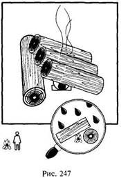 Иллюстрация к книге — Школа выживания в природных условиях [pic_245.jpg]