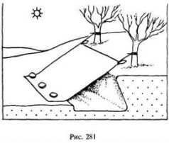 Иллюстрация к книге — Школа выживания в природных условиях [pic_280.jpg]