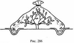 Иллюстрация к книге — Школа выживания в природных условиях [pic_287.jpg]
