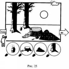 Иллюстрация к книге — Школа выживания в природных условиях [pic_32.jpg]