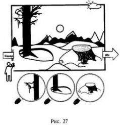 Иллюстрация к книге — Школа выживания в природных условиях [pic_35.jpg]