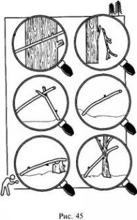Иллюстрация к книге — Школа выживания в природных условиях [pic_54.jpg]