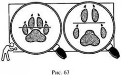 Иллюстрация к книге — Школа выживания в природных условиях [pic_72.jpg]