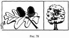 Иллюстрация к книге — Школа выживания в природных условиях [pic_89.jpg]